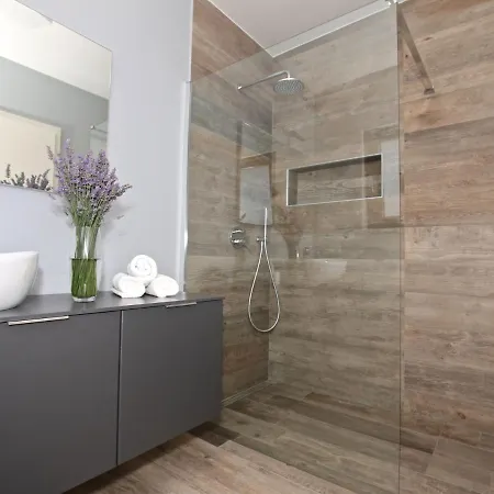 Villa Modern In Dracevac With Swimming Pool Porec