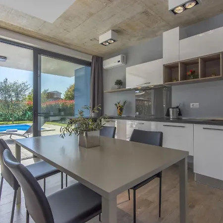 Modern In Dracevac With Swimming Pool Porec